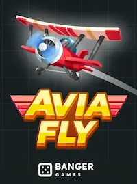 Avia Fly crash at XE66 COM